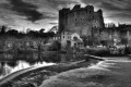 Château de Clisson (44)